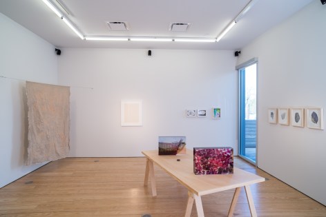 Linear Imaginations: Whistles, Visions, Fields, and Figures, Along the Lines of Gego, Installation view, 2015.