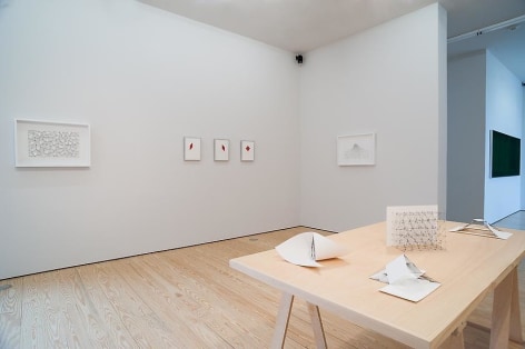 Mariano Dal Verme: On Drawing, installation view. Sicardi Gallery, 2013.
