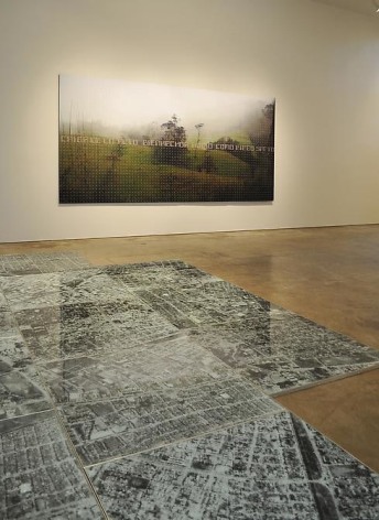 Oscar Mu&ntilde;oz, Miguel Angel Rojas, Sicardi Gallery installation view, 2010
