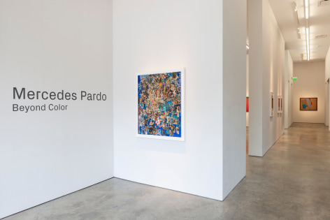 Mercedes Pardo:  Beyond Color