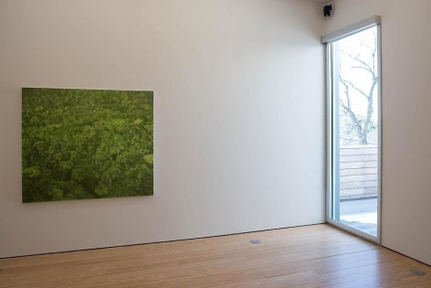 Melanie Smith, Green is the Colour, Installation view, 2014.
