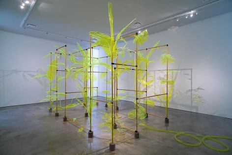 Thomas Glassford, Afterglow, Installation view, 2014.