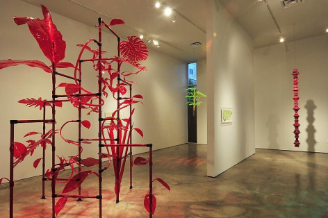 Thomas Glassford, Jungala, Sicardi Gallery installation view, 2011