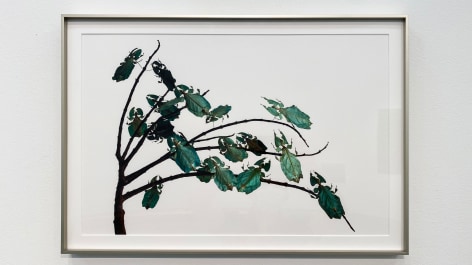 Mar&iacute;a Fernanda Cardoso, Hojas verdes - Green leafs 2/5 [Edition of 5 + 2AP], 2010. Archival pigment print on 300g watercolor paper, 15 3/4 x 23 5/8 in. (40 x 60 cm.)
