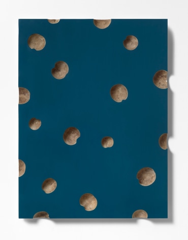 Thomas Glassford, Oscolum blue 18, 2019. Lacquer on MDF, gourds, 42 3/8 x 31 11/16 x 2 in.