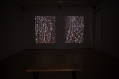 Miguel Angel R&iacute;os, Endless, Installation view, 2015.