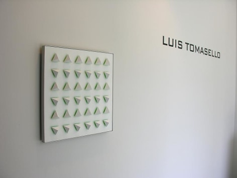 Luis Tomasello, Sicardi Gallery installation view, 2011