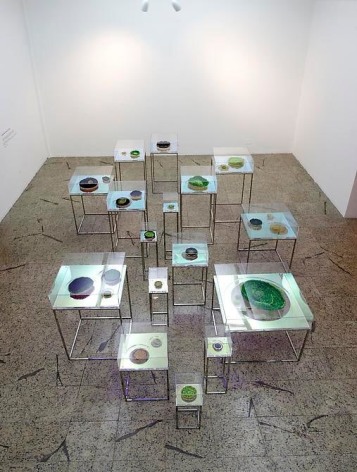 Ana Maria Tavares, Vit&oacute;rias R&eacute;gias para o Rio Coc&oacute; 2013. Cristal and colored methacrylate, stainless steel, cotton and various fabrics, niobium, pink gold and copper. Dimensions variable.