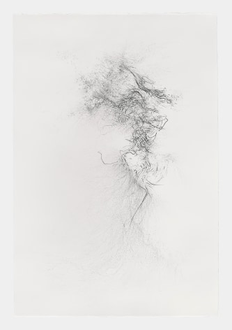 Gustavo D&iacute;az, Flock ascending to the quantum garden, 2021. Graphite on paper, 44 5/8 x 30 in.