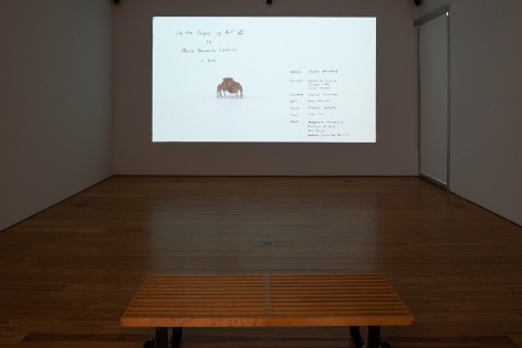 Maria Fernanda Cardoso:&nbsp;On the Origins of Art. Sicardi | Ayers | Bacino, 2018