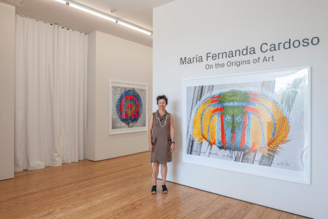 Maria Fernanda Cardoso:&nbsp;On the Origins of Art. Sicardi | Ayers | Bacino, 2018