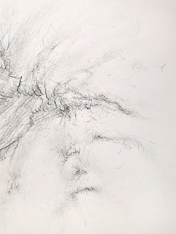 Gustavo D&iacute;az, From the series: Imaginary Flight Patterns I, 2021. Graphite on paper, 91 x 52 1/4 in. (detail)