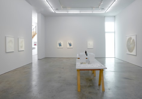 Gustavo Díaz: Wild Wind, Subtle Breeze