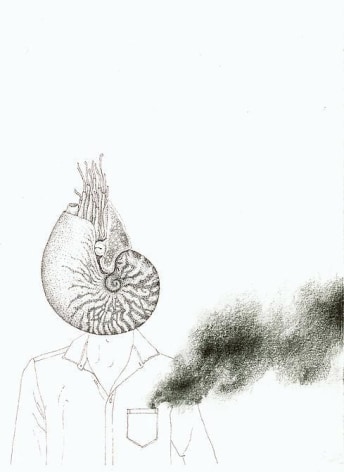 Teresa Currea, Hombre Nautilus, 2012, Pencil and ink on paper, 12.5 x 16.5cm