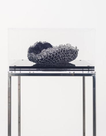 Ana Mar&iacute;a Tavares,&nbsp;Victorias Regias for Purus and Negros Rivers I [Euryale Amazonica], 2014. Various fabrics and yarn, Variable Dimensions VTPNova01: 47 1/2 x 15 3/4 x 15 3/4 in. (120.7 x 40 x 40 cm.)