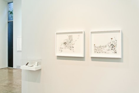 Marked Pages III, Ricardo Lanzarini, Sicardi Gallery installation view, 2011