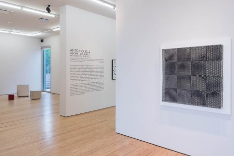 Antonio Asis, Geometr&iacute;a Libre, Installation view, 2014.