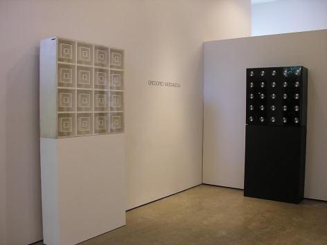 Martha Boto, Gregorio Vardanega, Sicardi Gallery installation view, 2007