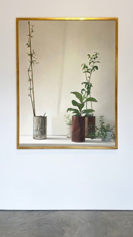 Claudio Bravo, Plants, 1972. Oil on canvas, 56 1/2 x 43 3/4 in. (143.5 x 111.2 cm.)