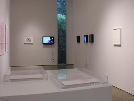 Le&oacute;n Ferrari, Luis Roldan, Fabiana Cruz, Gabriel de la Mora, Sicardi Gallery installation view, 2008