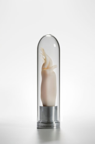 Mar&iacute;a Fernanda Cardoso, Intromittent organ of the Pyenganella Stricta [Tasmanian harvestman] Opillones [Edition of 5 + 2 AP], 2008-2009. Resin, glass, metal, 11 x 2 3/8 x 2 3/8 in. (27.9 x 6 x 6 cm.)