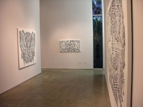 Pablo Siquier, Sicardi Gallery installation view, 2008