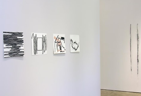 Luis Roldan, Sicardi Gallery Installation View, 2007