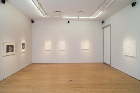 Liliana Porter, To See Gold and other prints, Installation view, 2015.