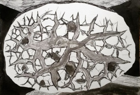 Lauren Moya Ford, Septaria, 2014.