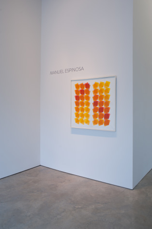 Manuel Espinosa, Installation view, 2013.