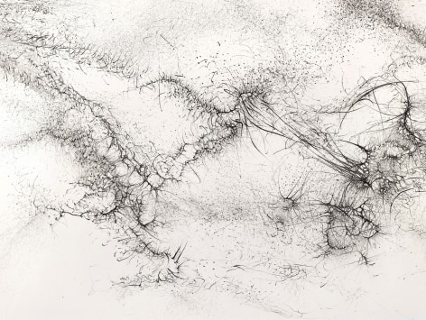 Gustavo D&iacute;az, From the series: Imaginary Flight Patterns II, 2021. Graphite on paper, 52 1/4 x 91 in. (detail)