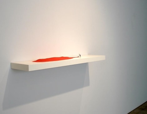 Liliana Porter, Sicardi Gallery installation view, 2009