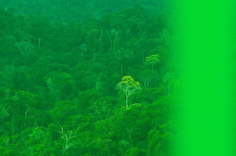 Melanie Smith, Video still from The Colour Green, 2014. HD video, 2:26 minutes.