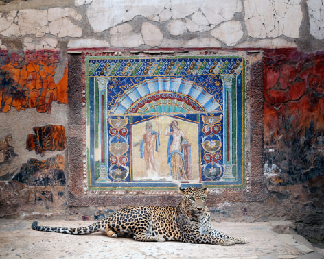 Karen Knorr, Bacchus in Attendance, House of Neptune and Amphitride, Herculaneum, 2024