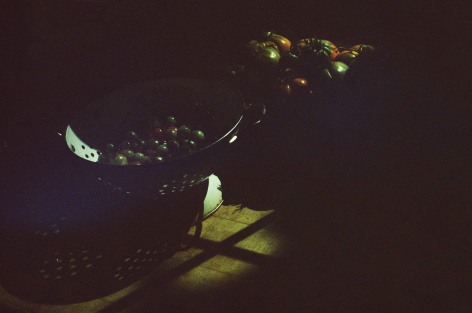 Olivia Bee, Tomatoes, 2020&nbsp;