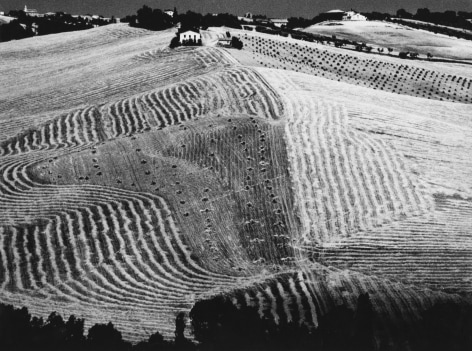 Mario Giacomelli, Matemorphosis of the Land, 1955 - 1980&nbsp;
