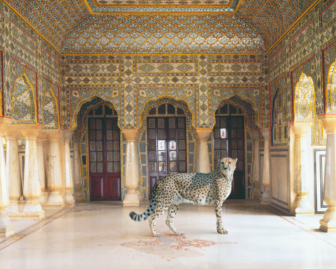 Karen Knorr&nbsp;, Return of the Hunter, Chandra Mahal, Jaipur Palace, Jaipur, 2012