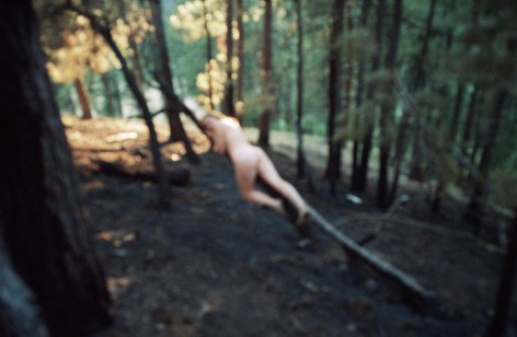 Olivia Bee, After the Fire, 2020