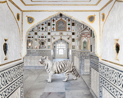Tiger Breath, Sheesh Mahal, Amer Fort, 2020, Archival pigment print