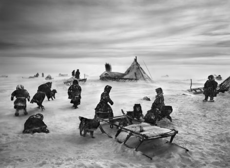 Nenets Nomads Camp, Siberia, Russia. 2011