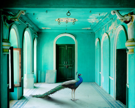 Karen Knorr&nbsp;, The Queen&#039;s Room, Zanana, Udaipur City Palace, 2010