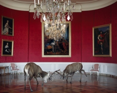  The King&#039;s Reception, 2006, 	26 x 30 inch pigment print