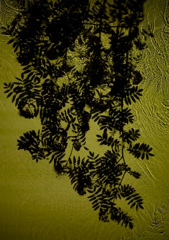 Rowan Brook, 2012, 48 x 33.25 inch digital c-print