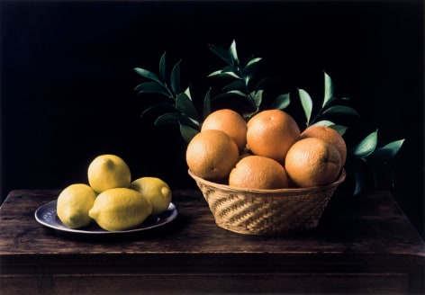 Evelyn Hofer, Still Life (6), Hommage &aacute; Zurbaran, 1997