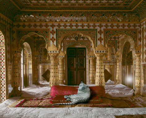 The Peacemaker, Chandra Mahal, Jaipur Palace, 2010, Archival pigment print