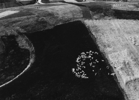 Mario Giacomelli, Metamorphosis of the Land, 1955 - 1980&nbsp;
