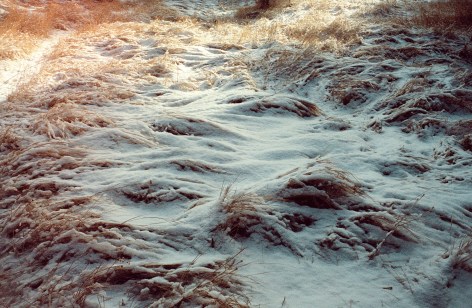 Olivia Bee, Winter Glitters, 2020
