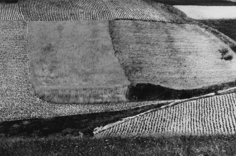Mario Giacomelli, Like a Book, c. 1969&nbsp;