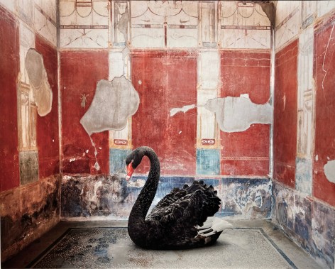 KAREN KNORR, Leda&#039;s Seduction, House of the Red Walls, Pompeii, 2023