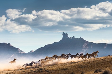 Jim Krantz, Frontier No. 21, 2020 - 2023